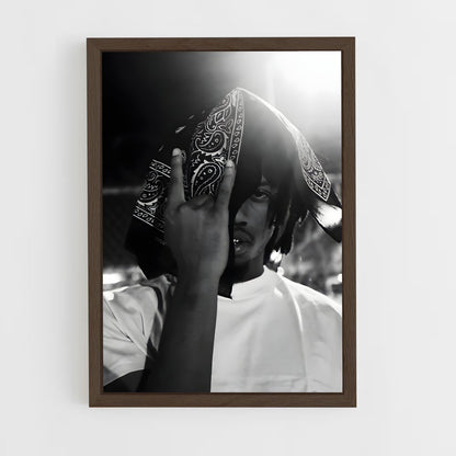 ap-denzel curry-1 cadre Bois foncé