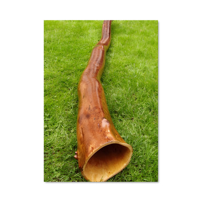 Poster L'Esprit du Didgeridoo