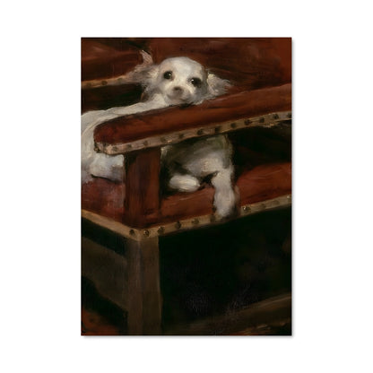 Poster Le Chien Dans La Boîte