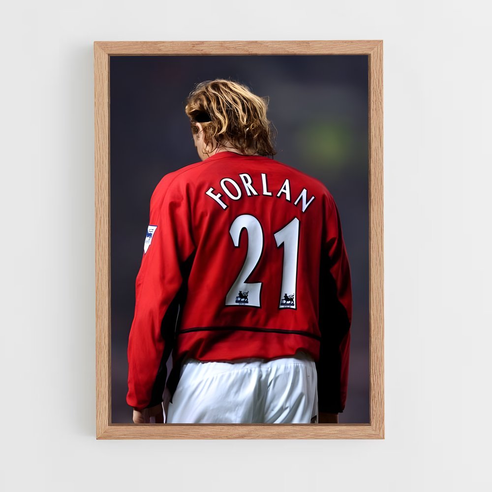 ap-diego forlan-6 cadre Bois clair