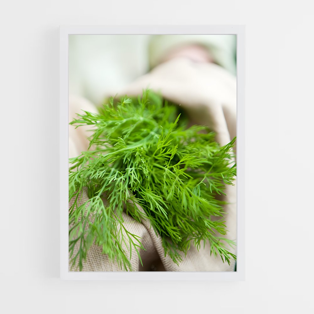 ap-dill-5 cadre Blanc