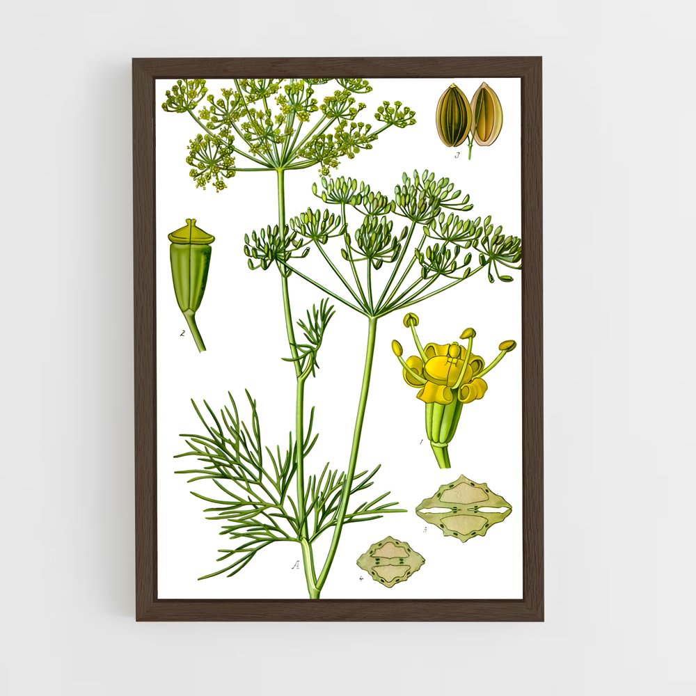 ap-dill-6 cadre Bois foncé