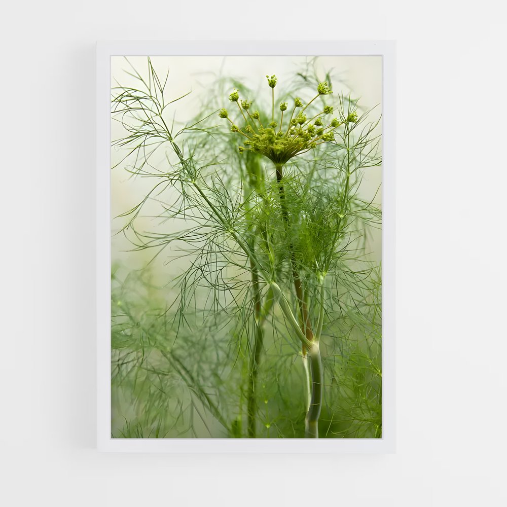 ap-dill-7 cadre Blanc
