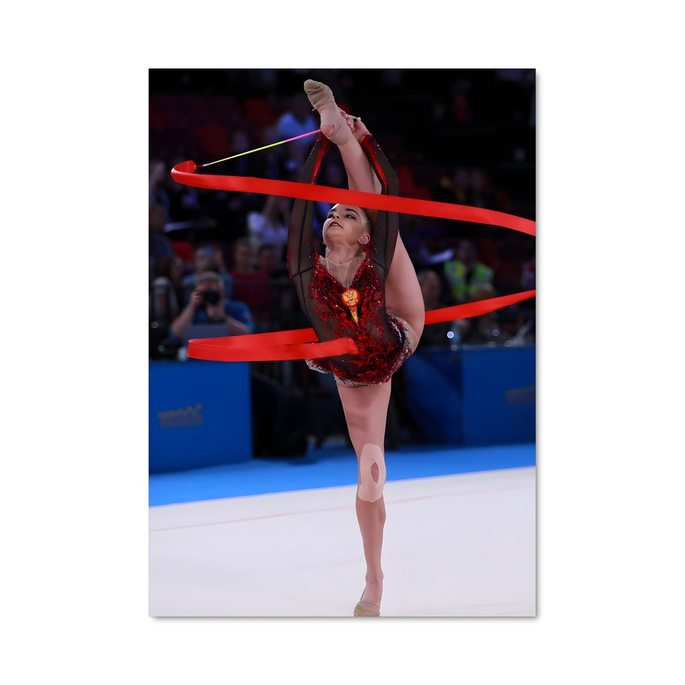 Poster Dina averina 66509