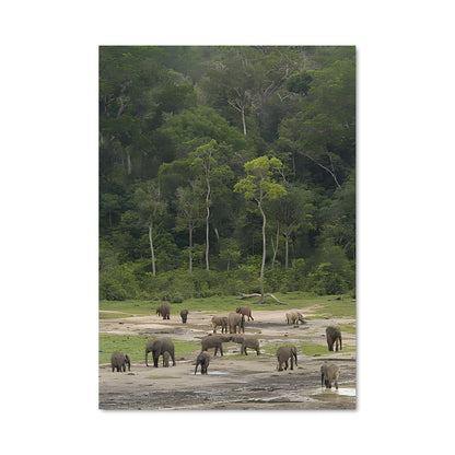 Poster Oasis Amazonienne