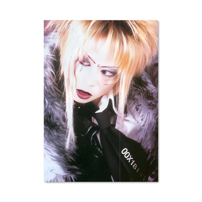 Poster Dir en grey 47055