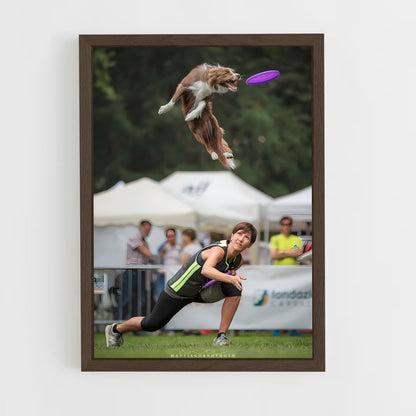 ap-disc dog world championships-5 cadre Bois foncé
