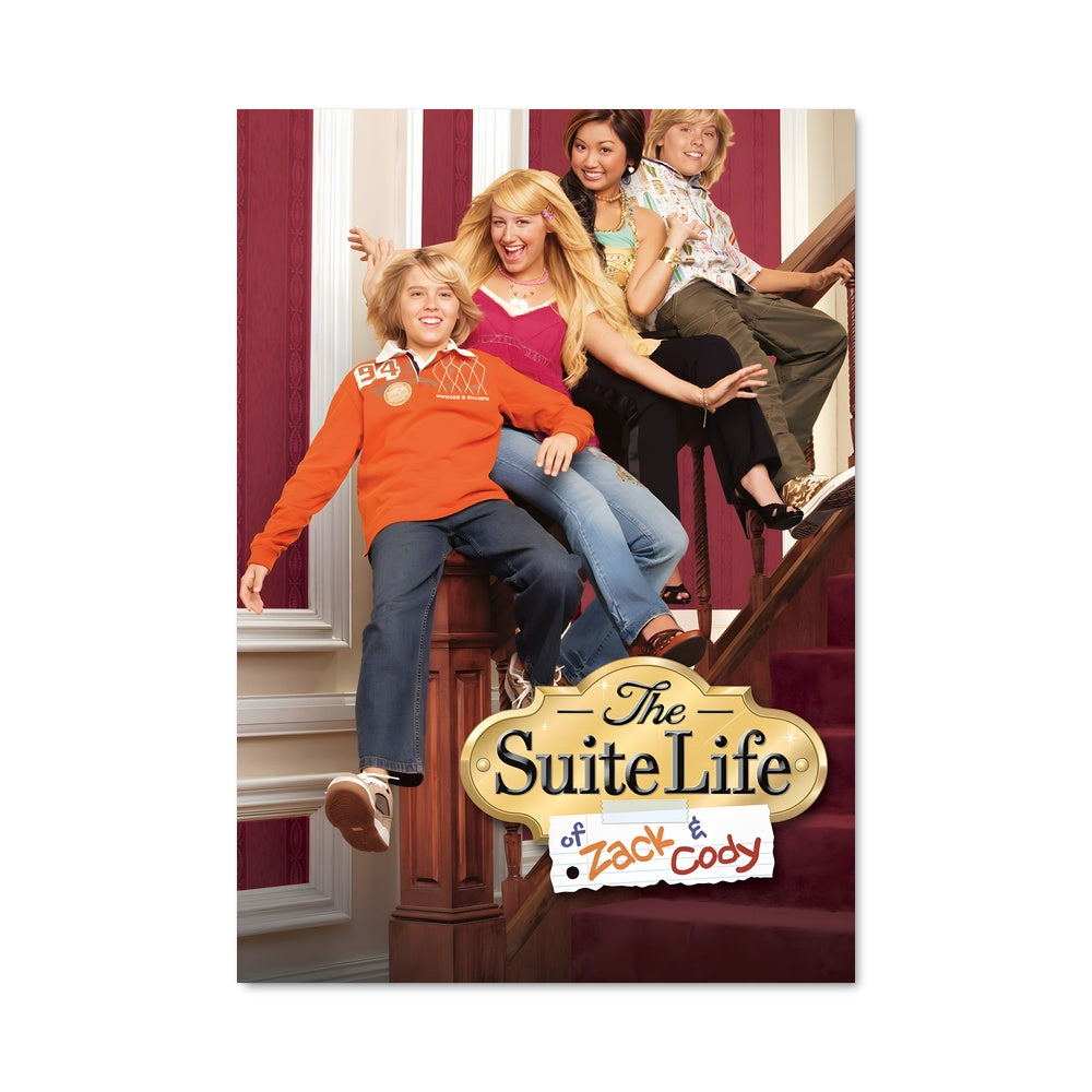 Poster La Vie de Bradys