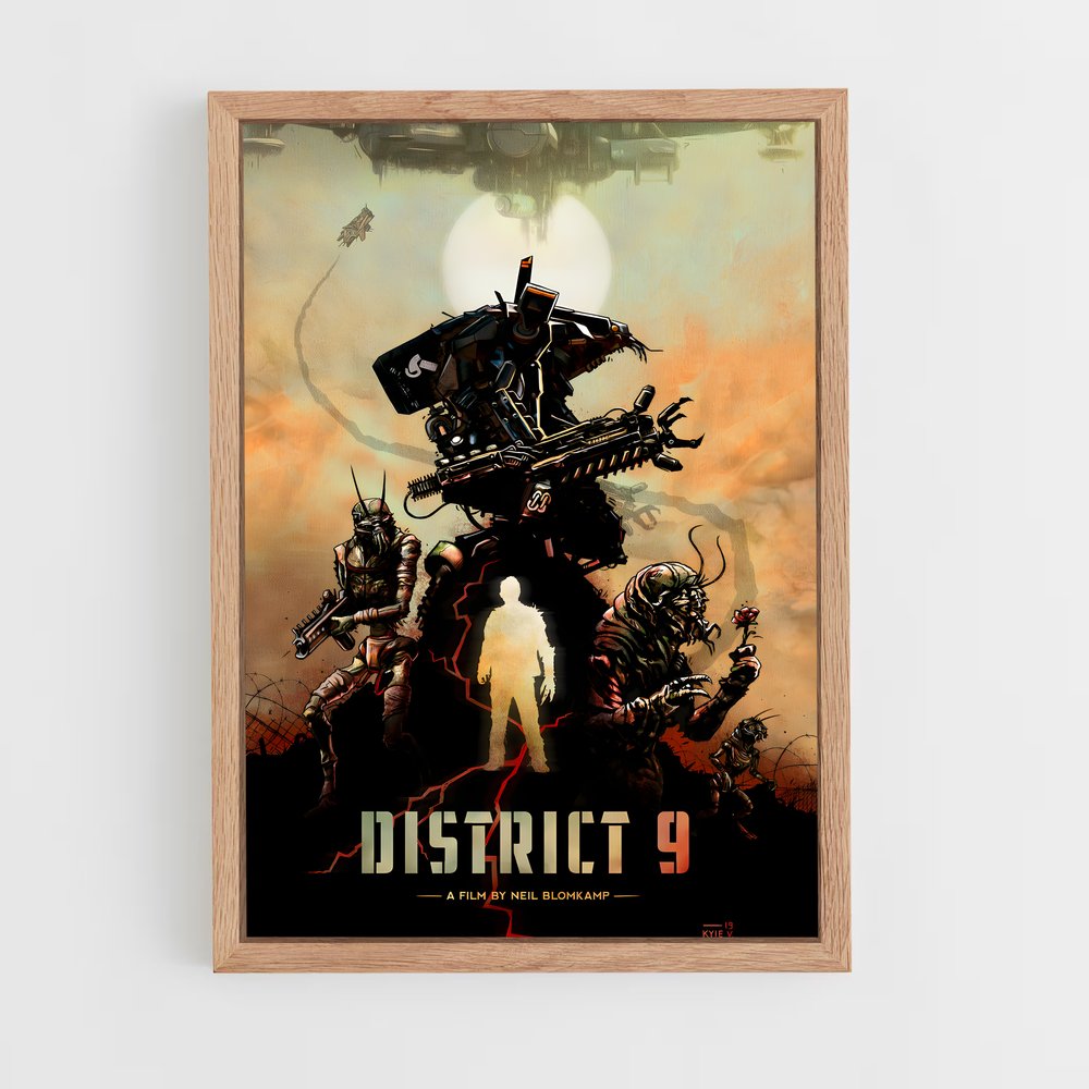 ap-district 9-2 cadre Bois clair