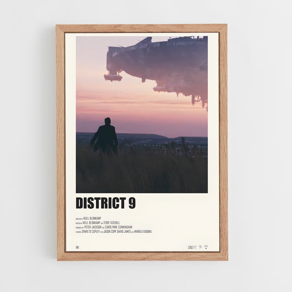 ap-district 9-3 cadre Bois clair