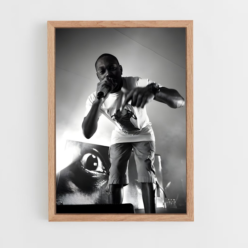 ap-dizzee rascal-1 cadre Bois clair