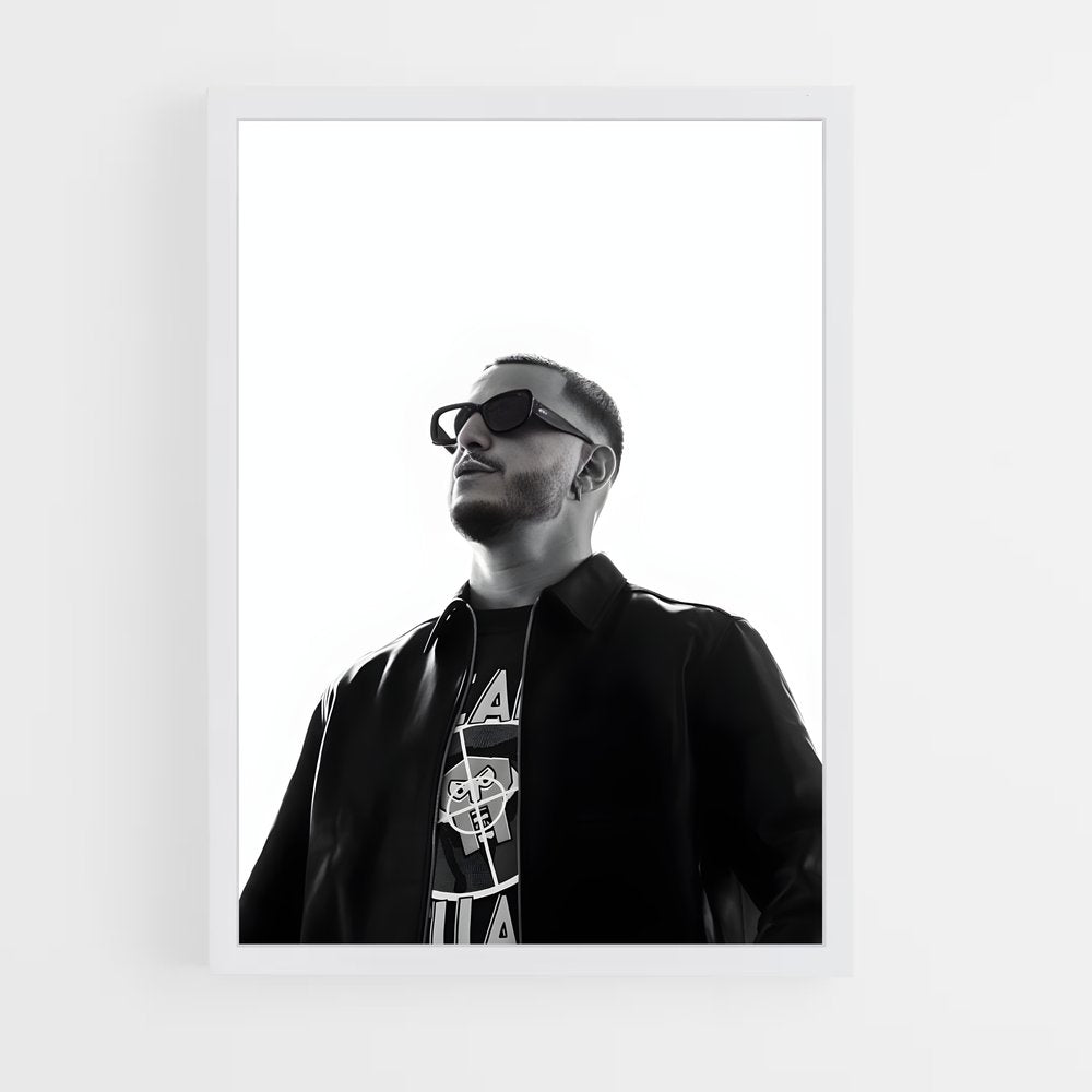 ap-dj snake-11 cadre Blanc