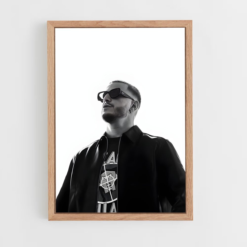 ap-dj snake-11 cadre Bois clair