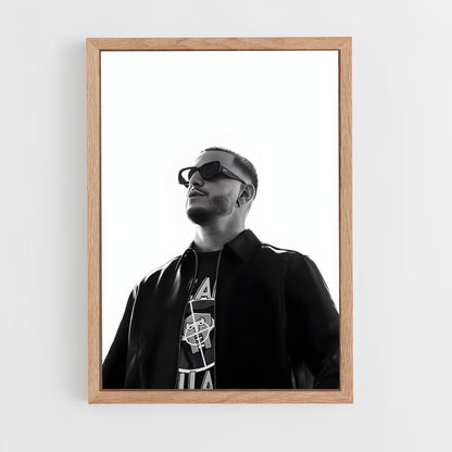 ap-dj snake-11 cadre Bois clair