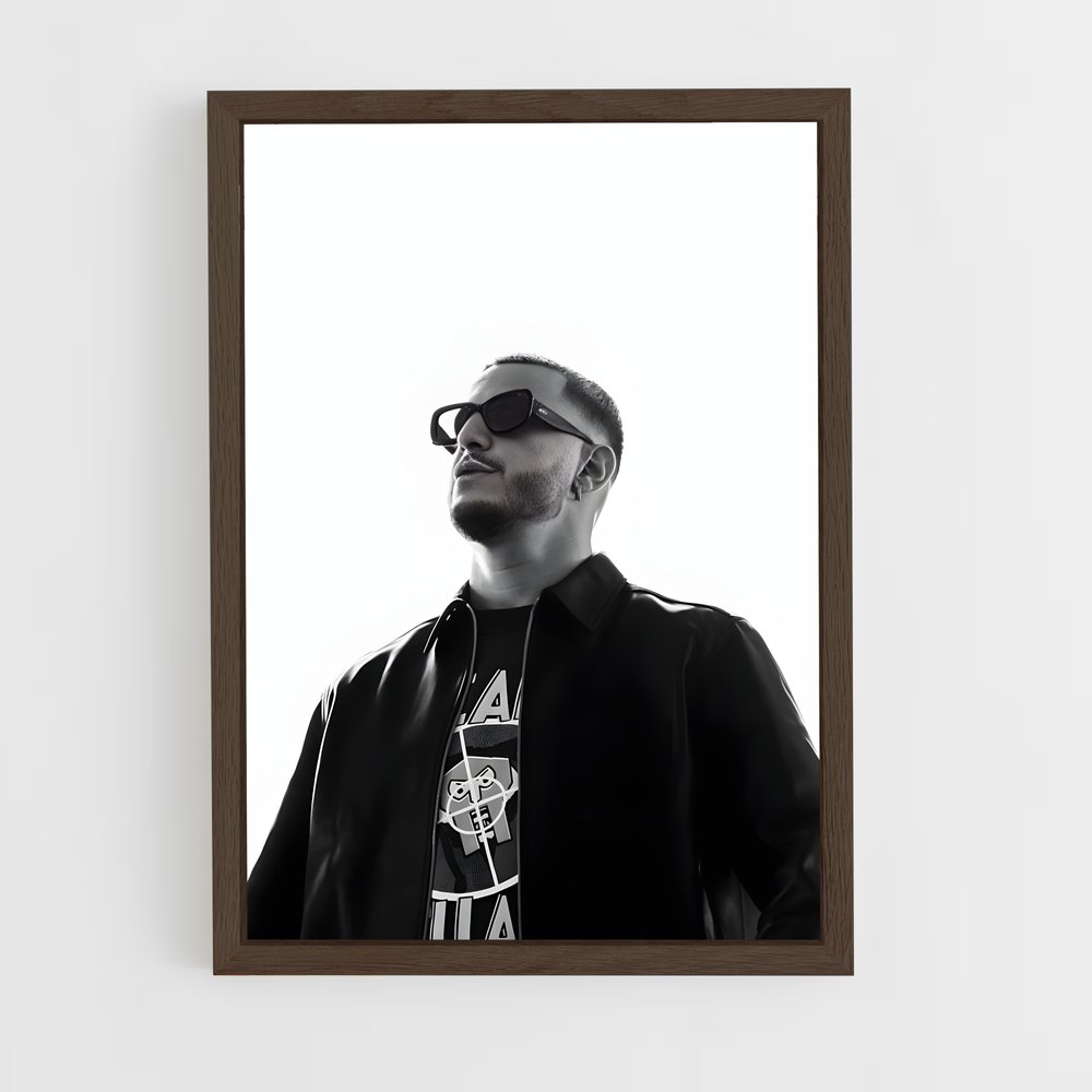 ap-dj snake-11 cadre Bois foncé