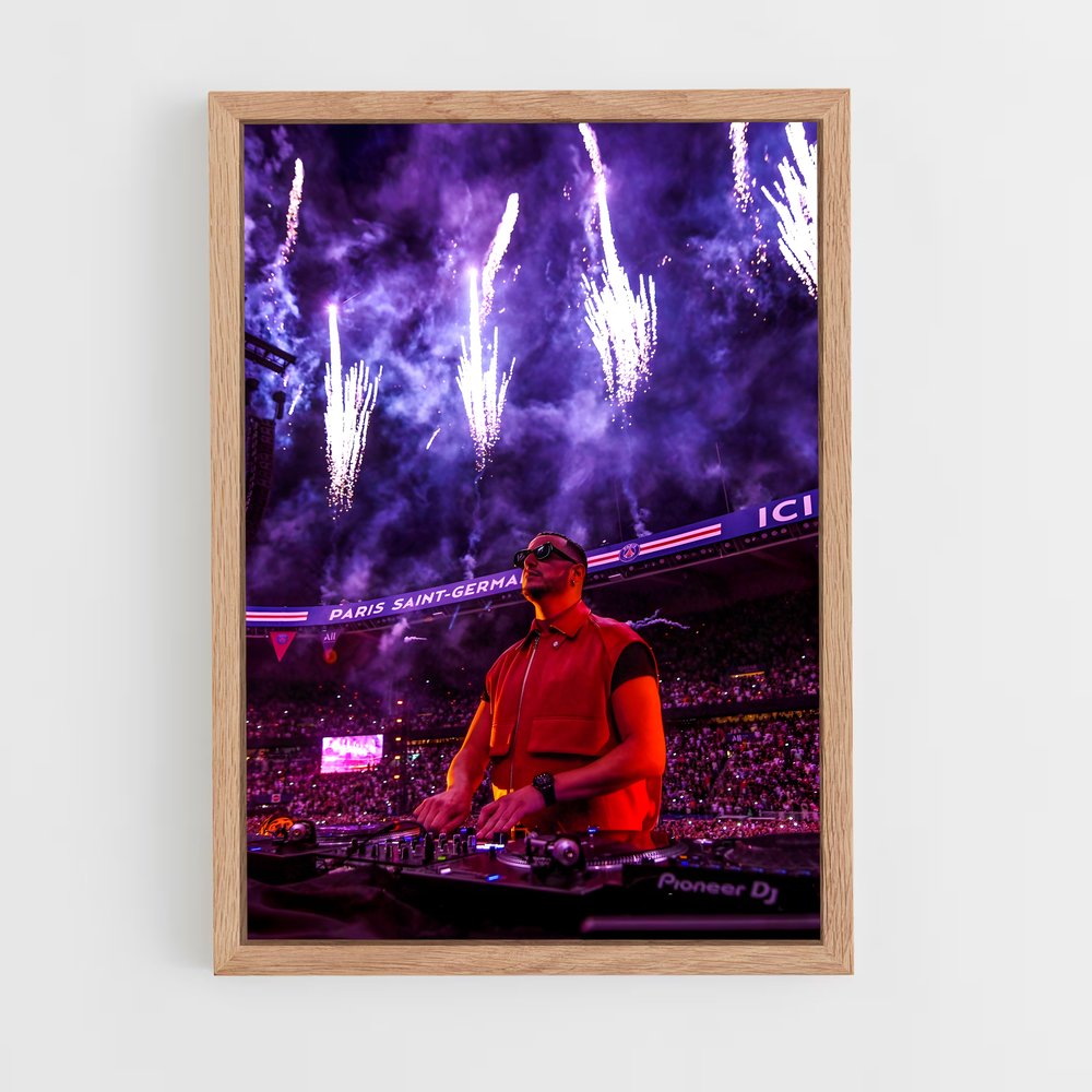 ap-dj snake-2 cadre Bois clair