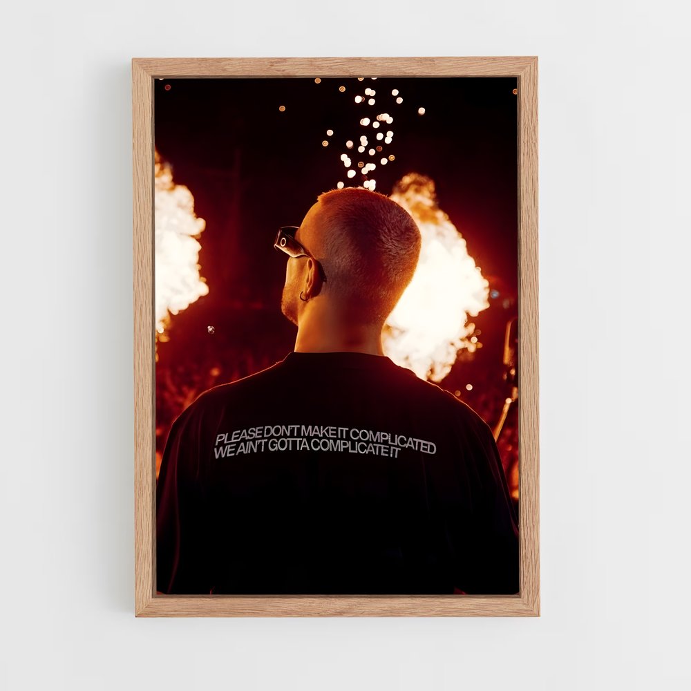 ap-dj snake-8 cadre Bois clair