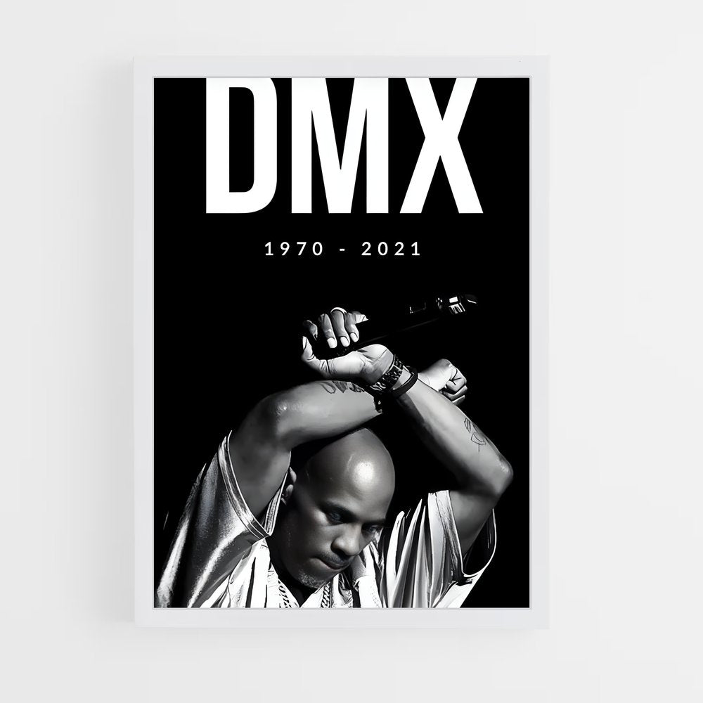 ap-dmx-1 cadre Blanc