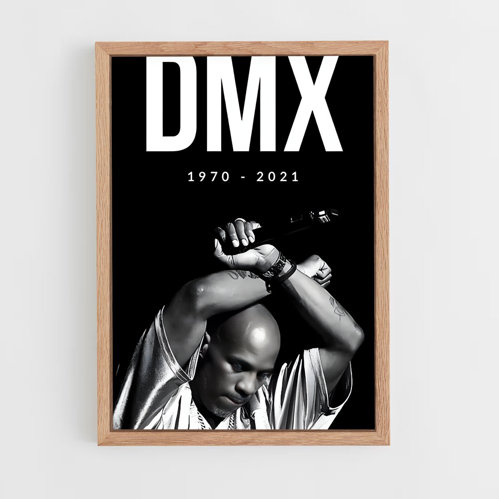ap-dmx-1 cadre Bois clair