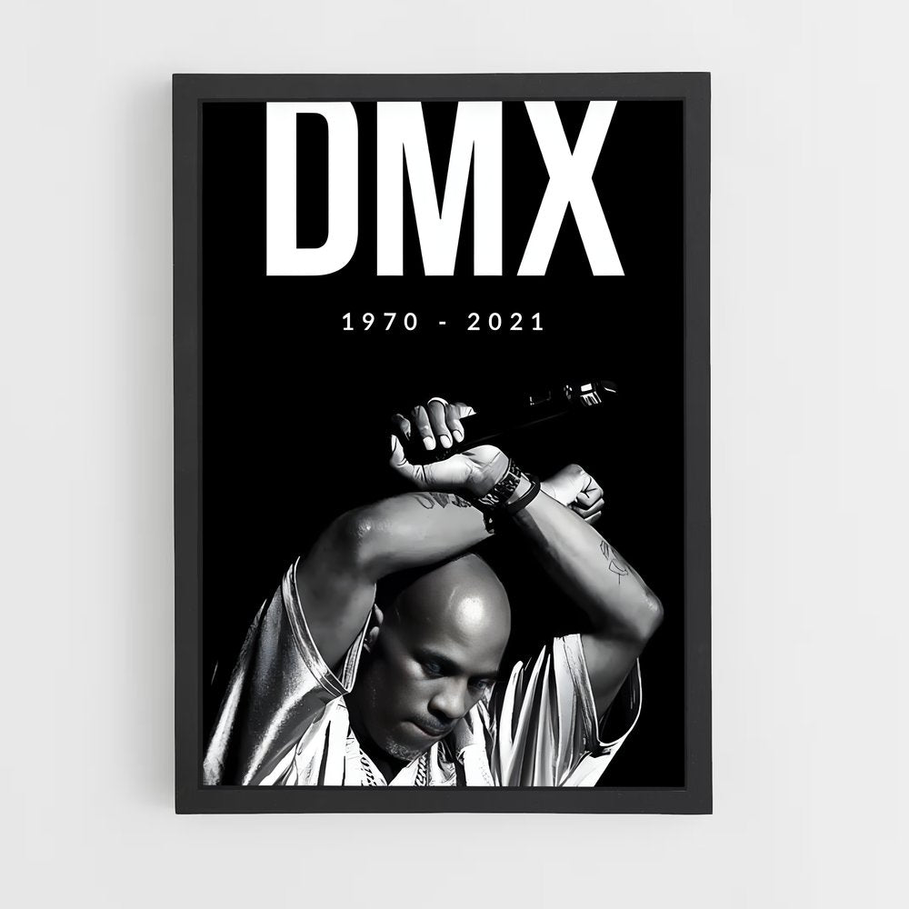 ap-dmx-1 cadre Noir
