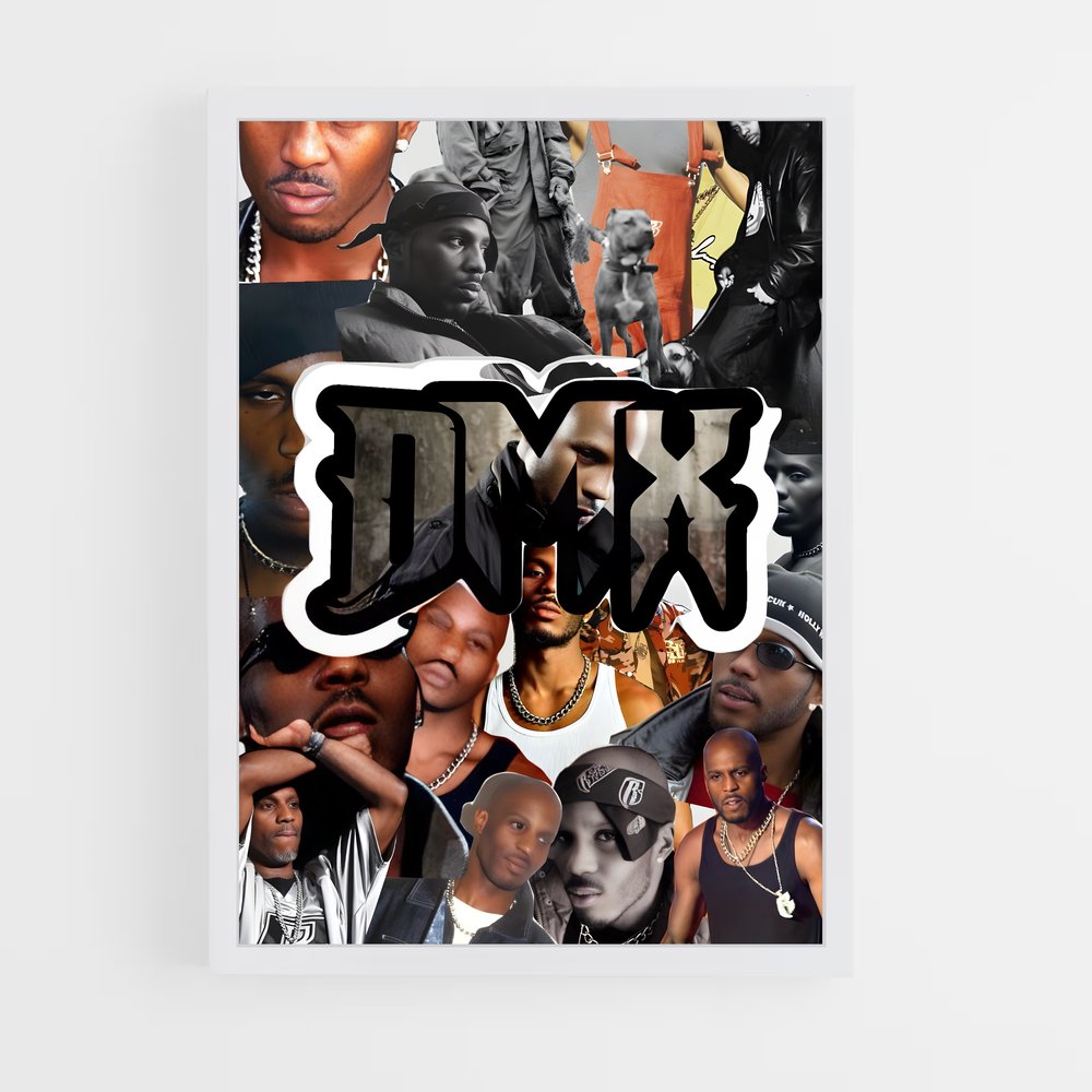 ap-dmx-2 cadre Blanc