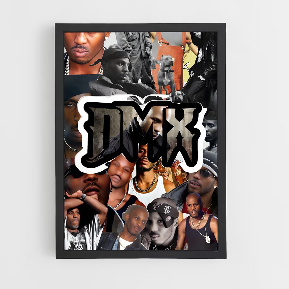 ap-dmx-2 cadre Noir