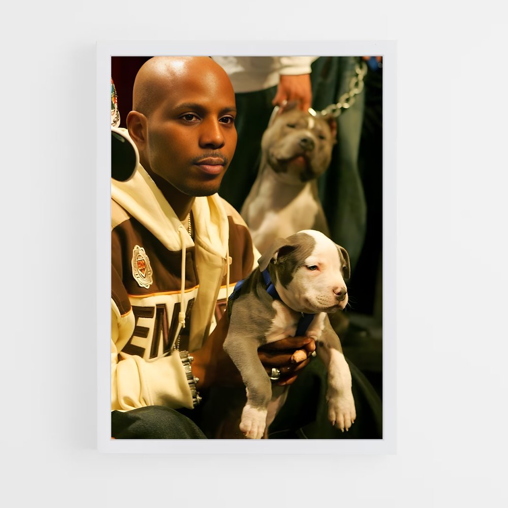 ap-dmx-3 cadre Blanc