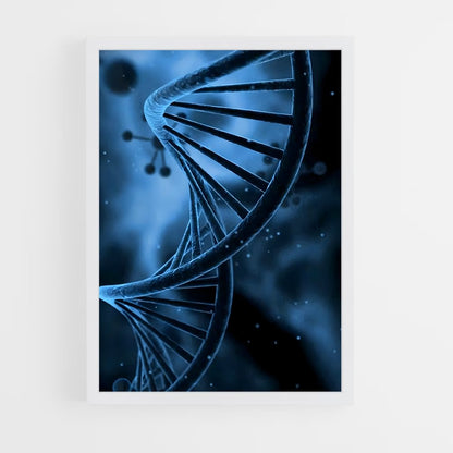 ap-dna double helix-2 cadre Blanc