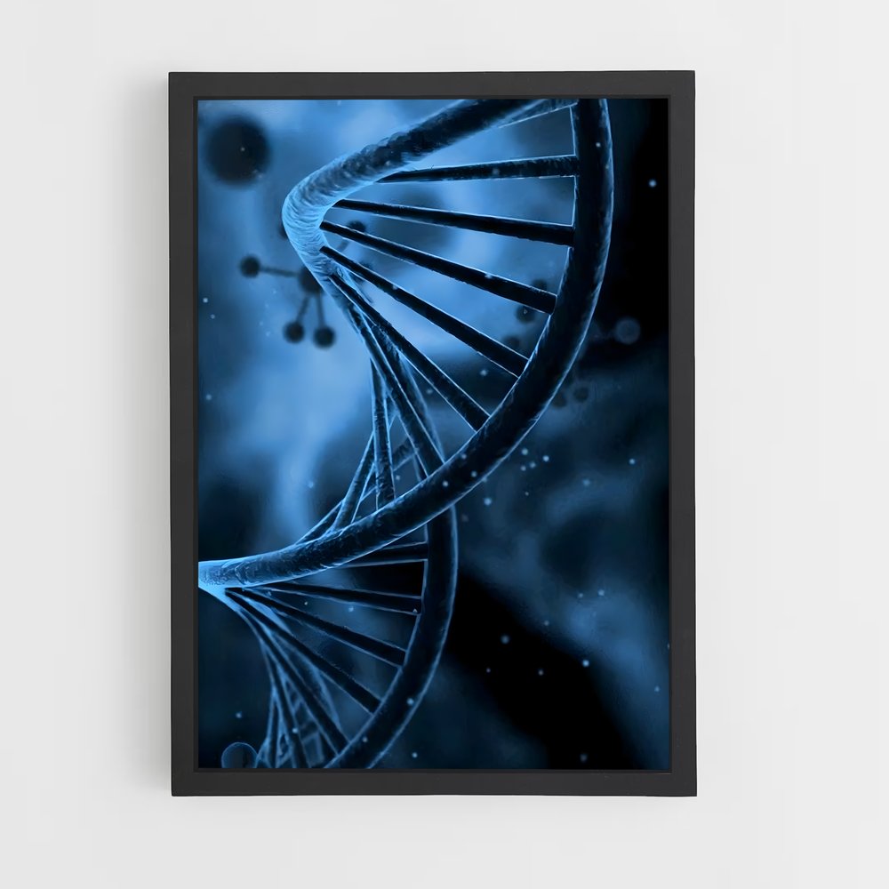 ap-dna double helix-2 cadre Noir