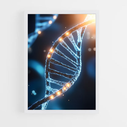 ap-dna structure-1 cadre Blanc