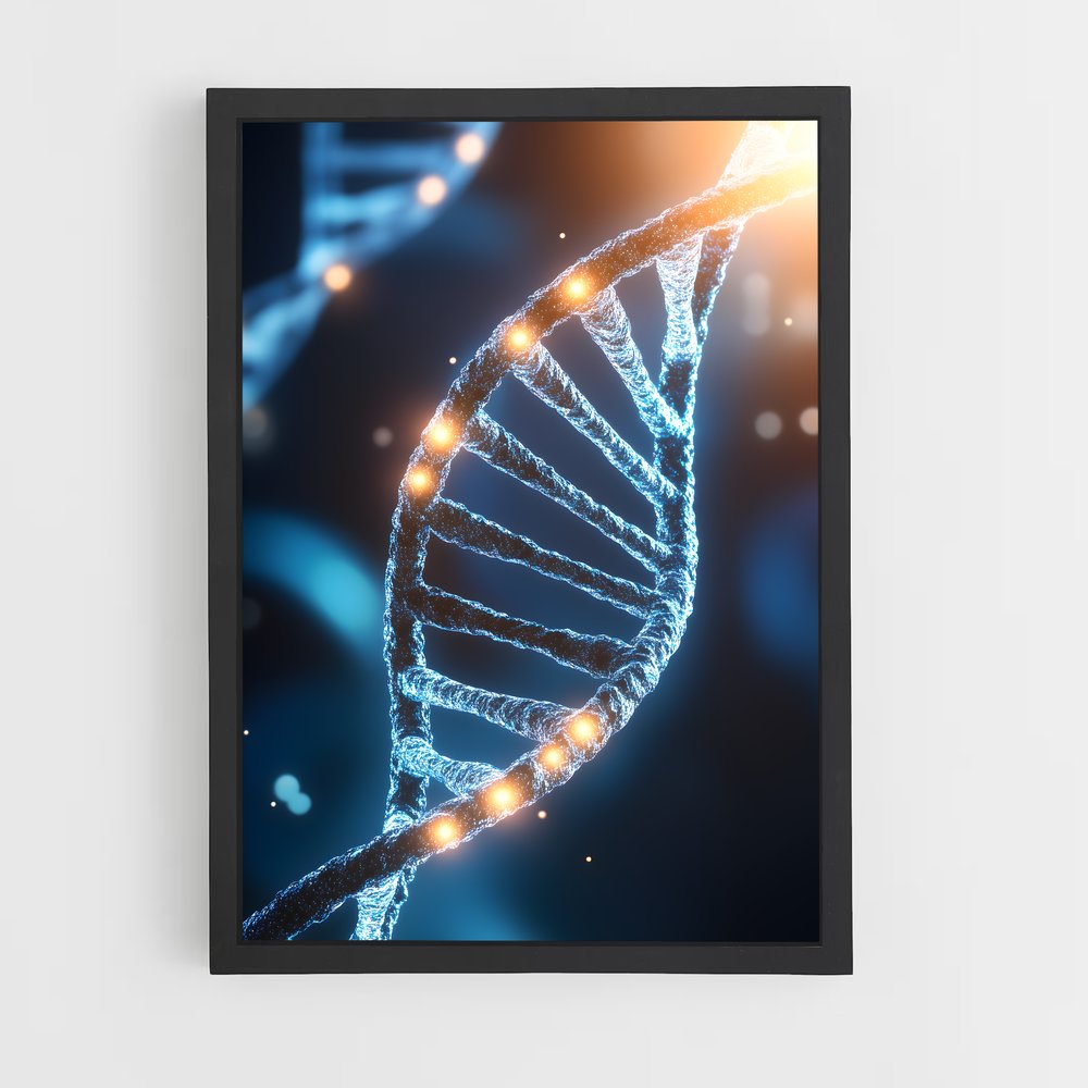 ap-dna structure-1 cadre Noir