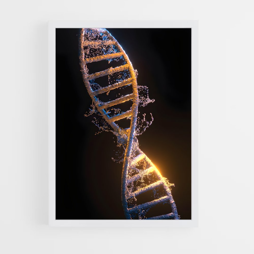 ap-dna structure-3 cadre Blanc