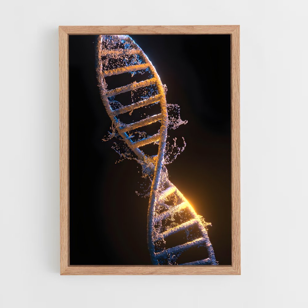 ap-dna structure-3 cadre Bois clair