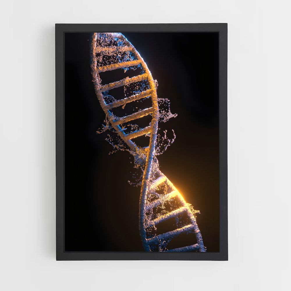 ap-dna structure-3 cadre Noir