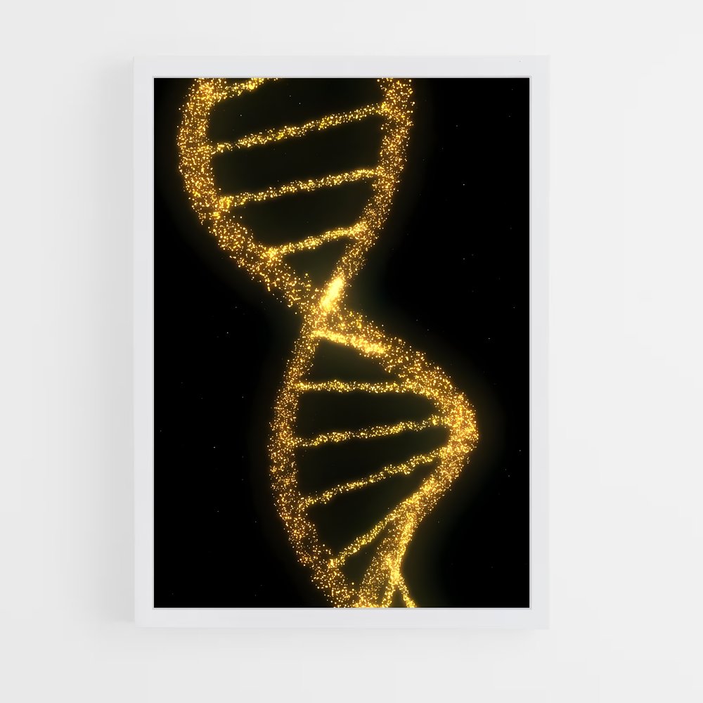 ap-dna structure-4 cadre Blanc
