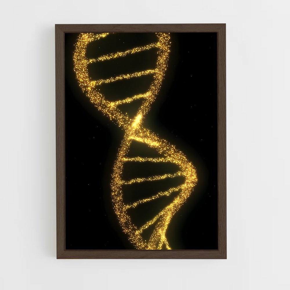 ap-dna structure-4 cadre Bois foncé