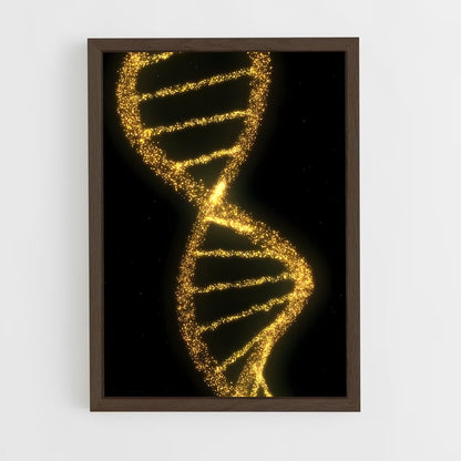 ap-dna structure-4 cadre Bois foncé