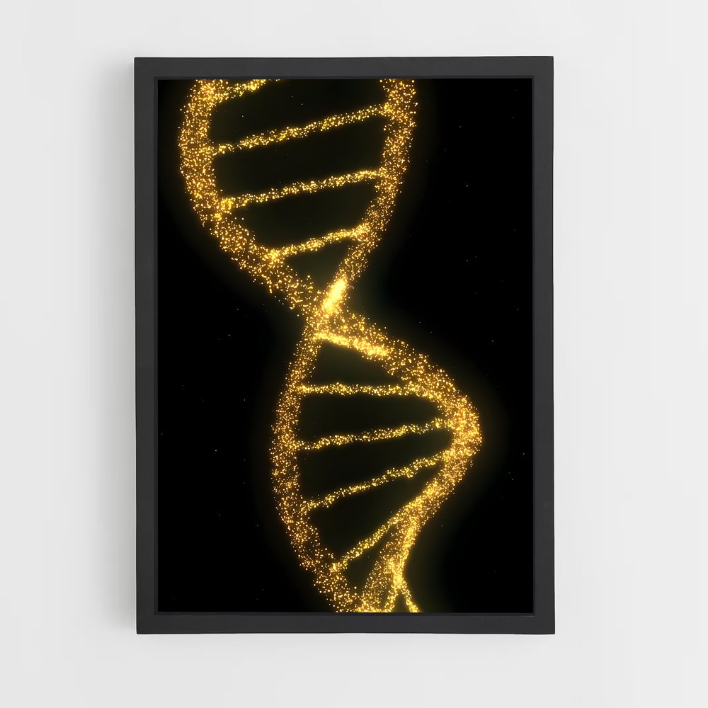 ap-dna structure-4 cadre Noir
