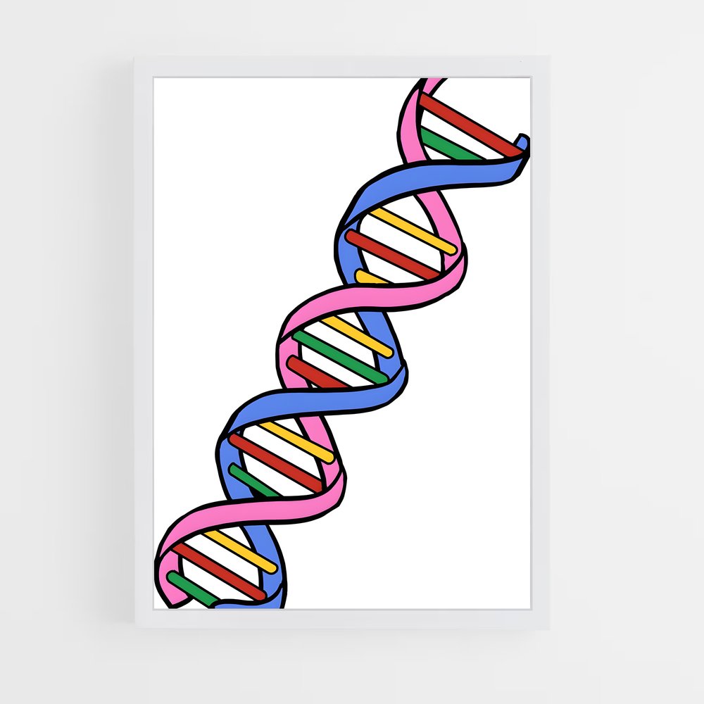 ap-dna structure-5 cadre Blanc