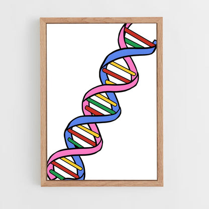 ap-dna structure-5 cadre Bois clair