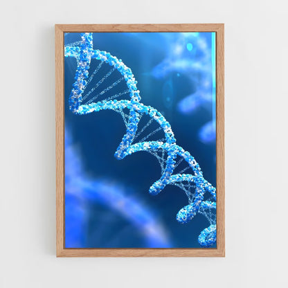 ap-dna testing-2 cadre Bois clair