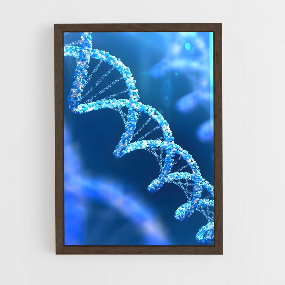 ap-dna testing-2 cadre Bois foncé