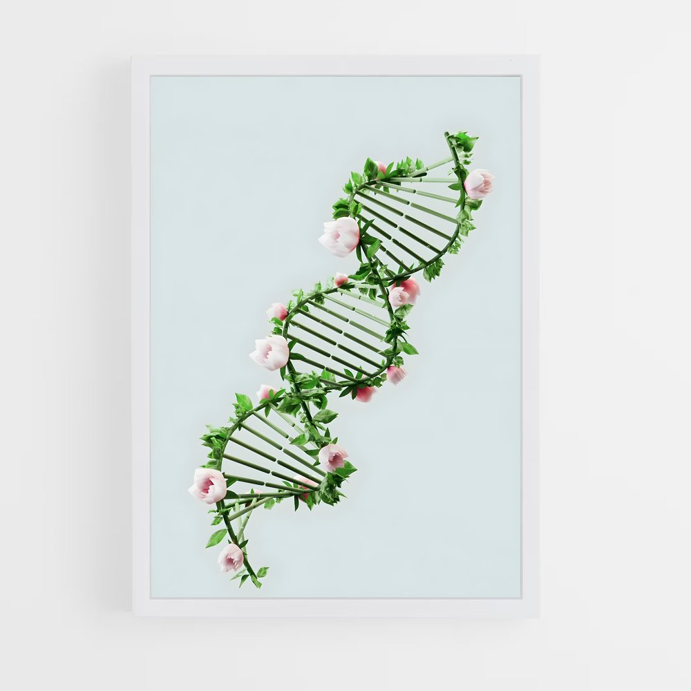 ap-dna testing-3 cadre Blanc