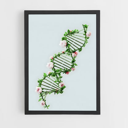ap-dna testing-3 cadre Noir