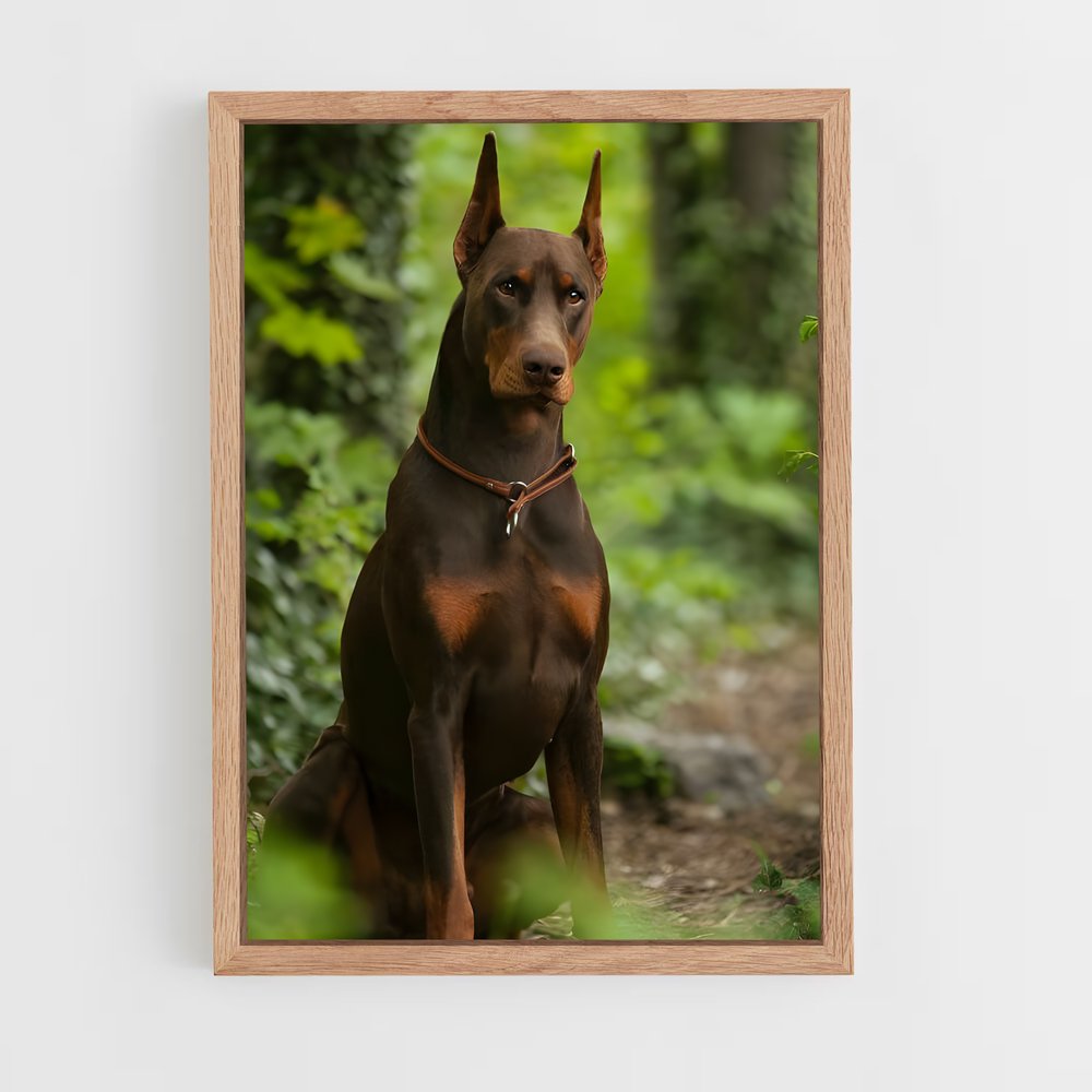 ap-doberman pinscher-3 cadre Bois clair