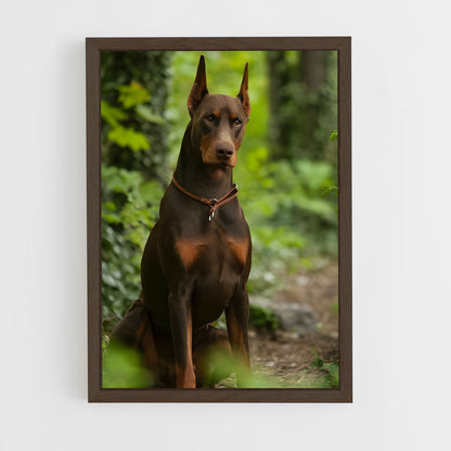 ap-doberman pinscher-3 cadre Bois foncé