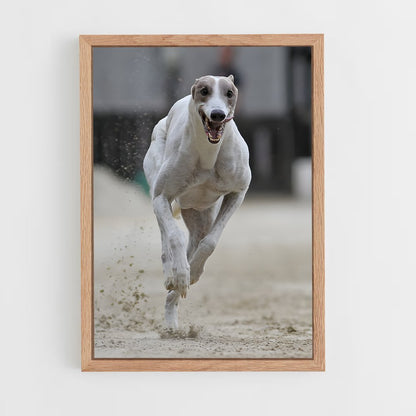 ap-dog racing-1 cadre Bois clair