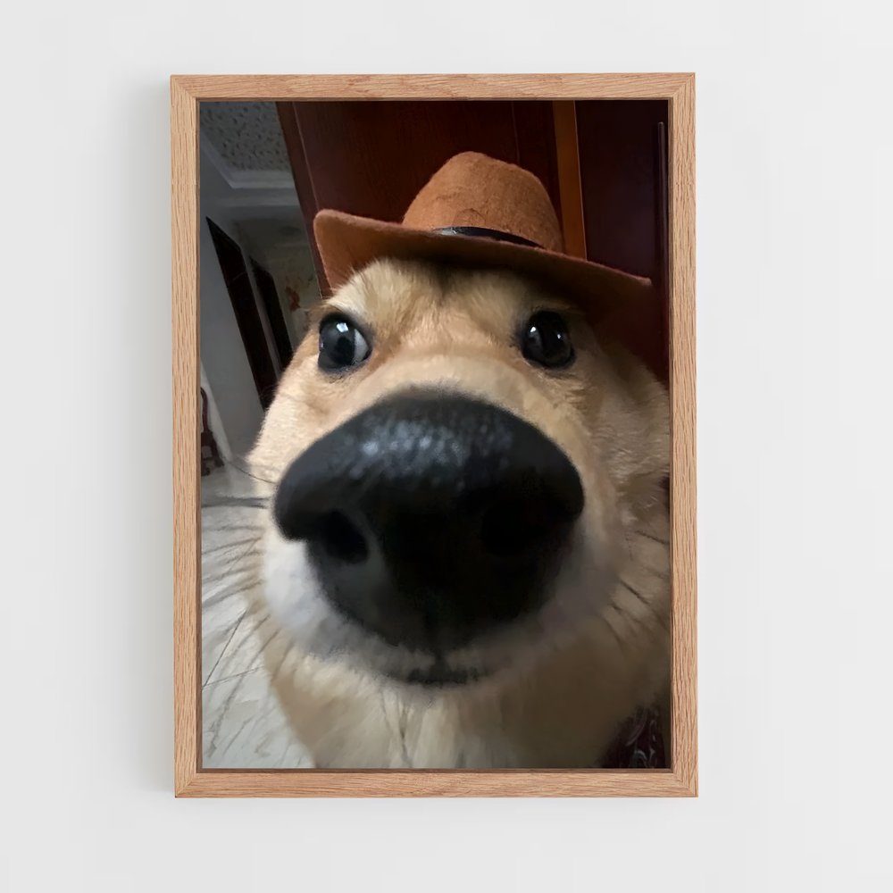 ap-doge-10 cadre Bois clair