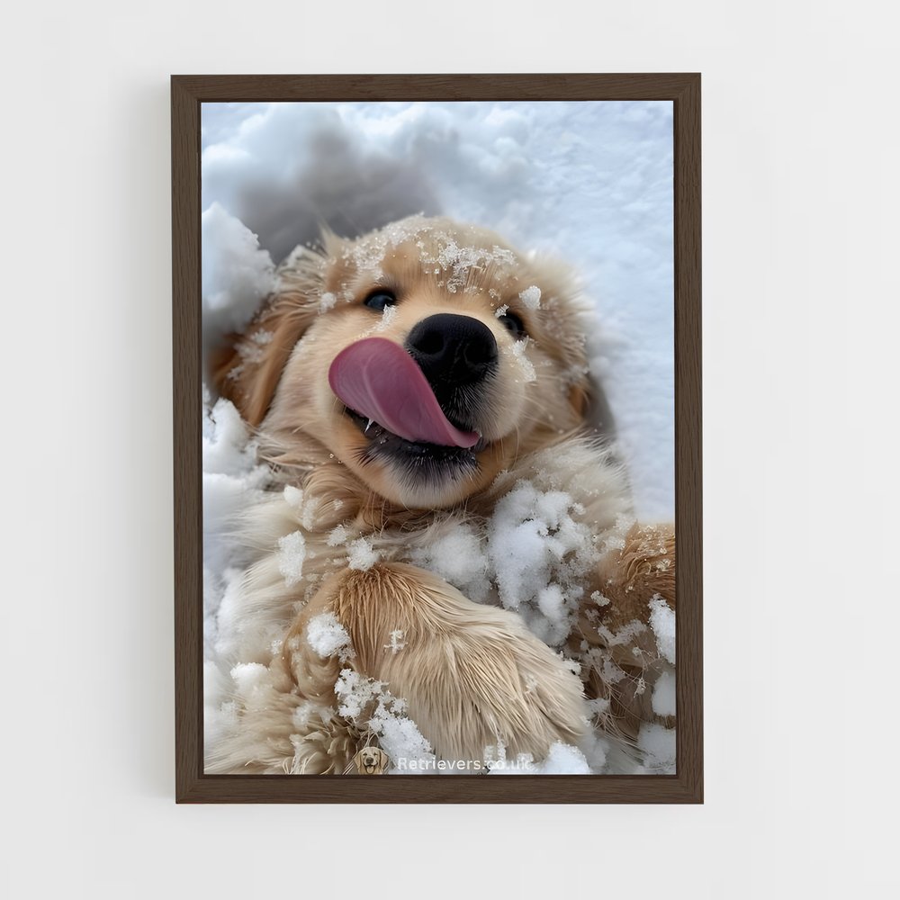 ap-doge-4 cadre Bois foncé