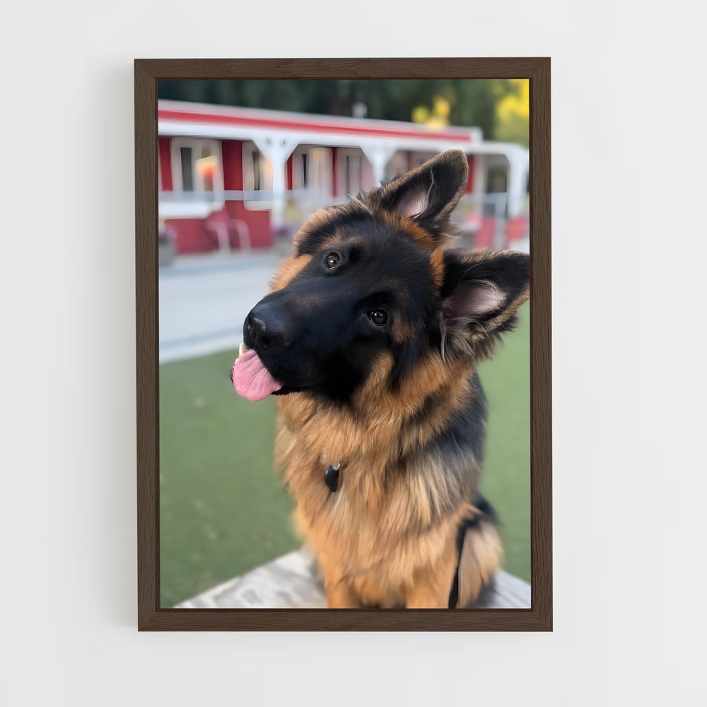 ap-dogs-4 cadre Bois foncé